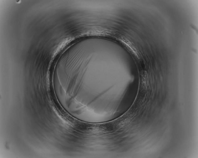 X0000096650678200802191243