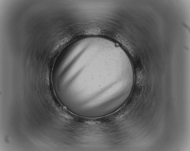 X0000096650681200802191243