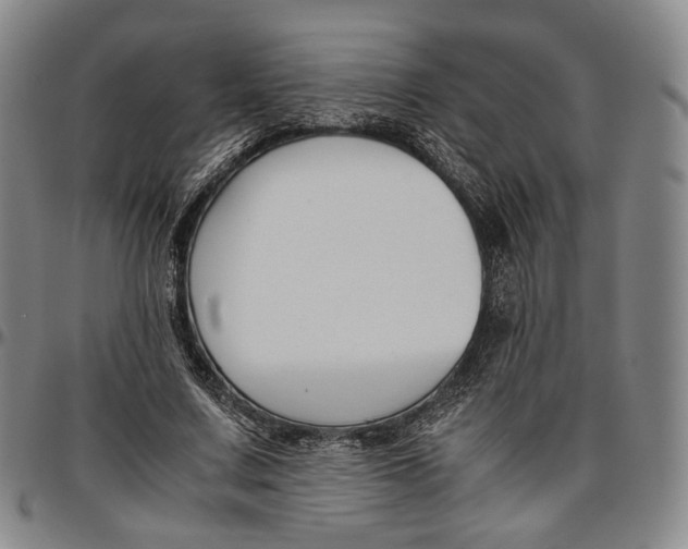 X0000096650683200802191243