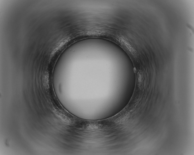 X0000096650684200802191243