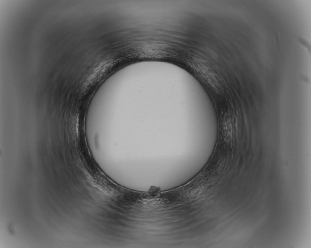 X0000096650686200802191243