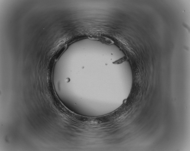 X0000096650687200802191243