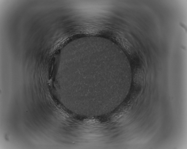 X0000096650689200802191243