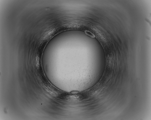 X0000096650692200802191243