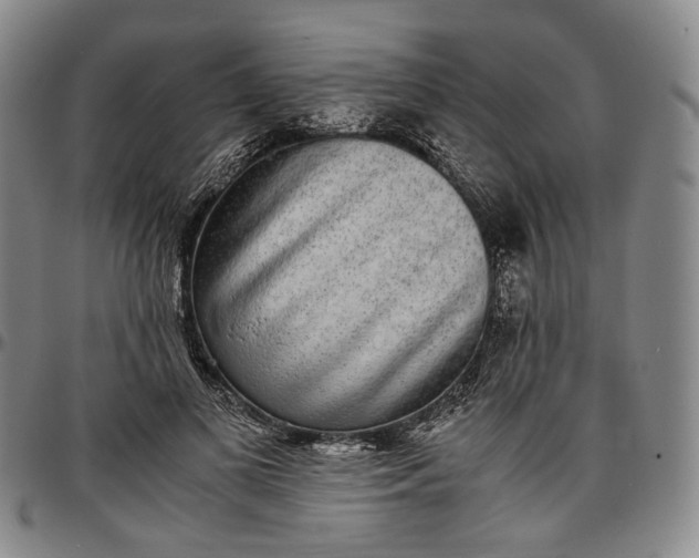 X0000096650693200802191243