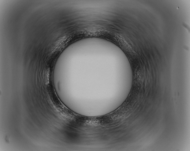 X0000096650694200802191243