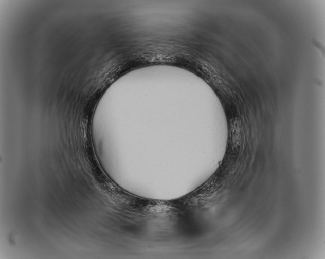 X0000096650695200802191243