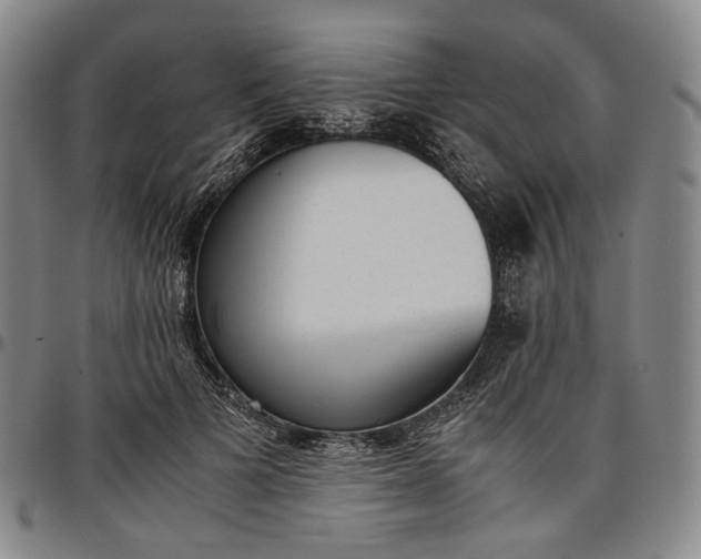 X0000096650697200802191243