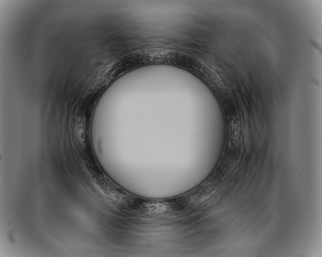 X0000096650698200802191243