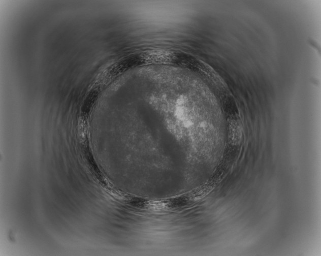 X0000096650701200802191243