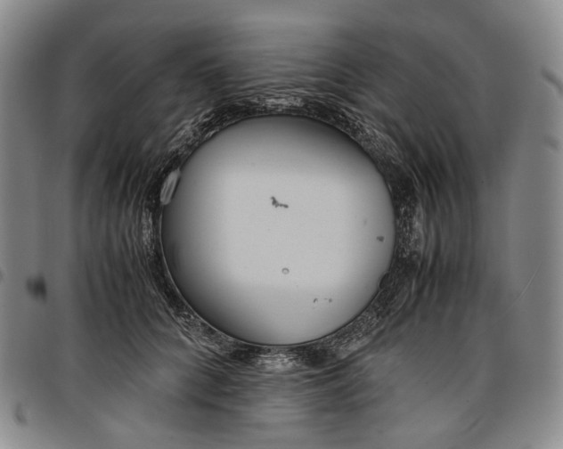 X0000096650704200802191243