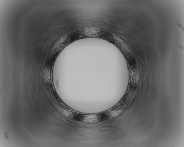 X0000096650705200802191243