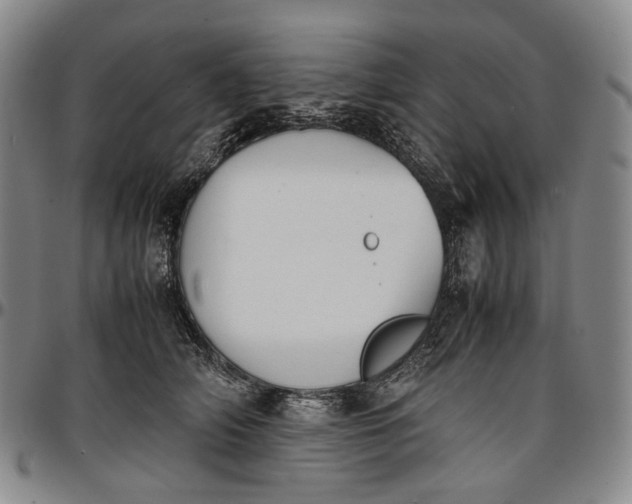 X0000096650706200802191243