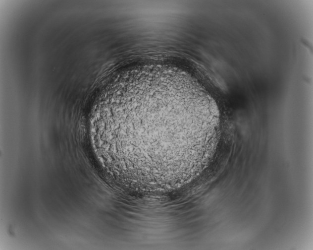 X0000096650707200802191243