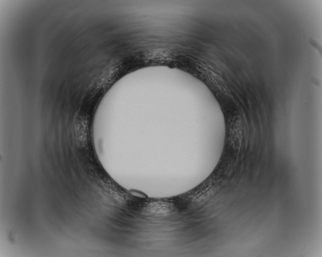 X0000096650708200802191243