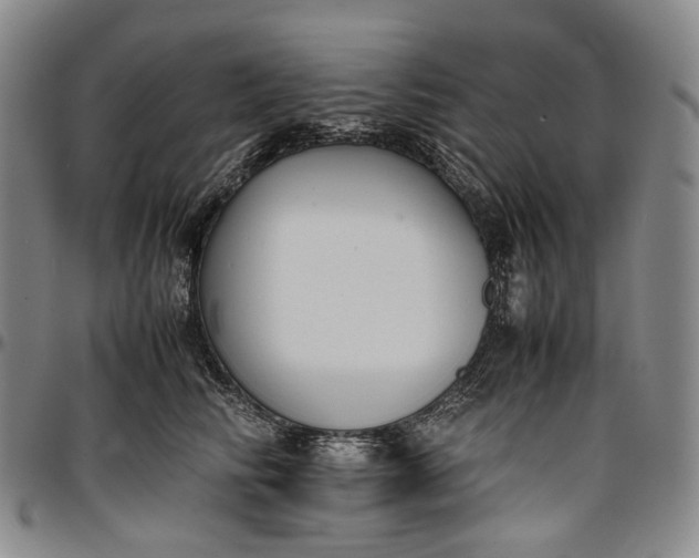 X0000096650710200802191243