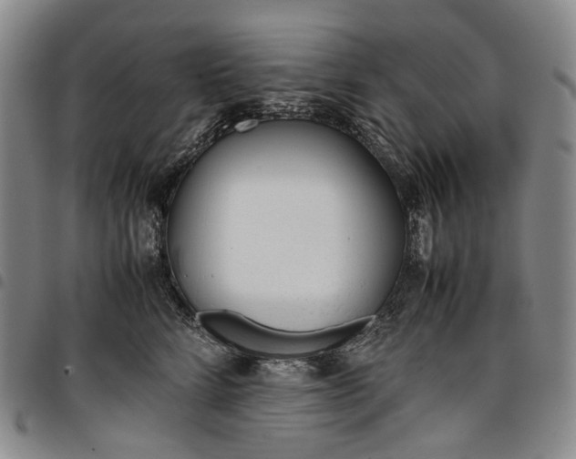 X0000096650712200802191243