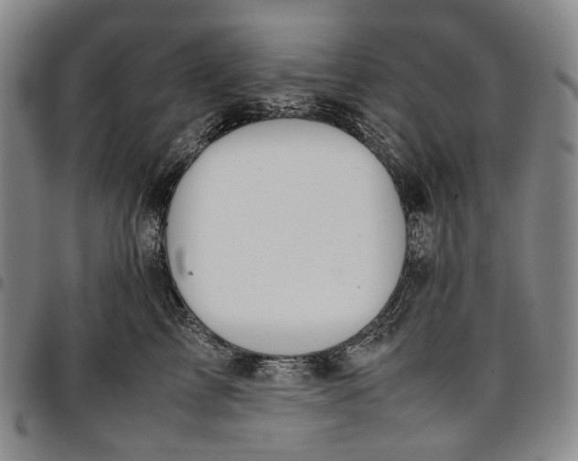 X0000096650713200802191243
