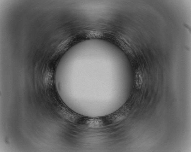 X0000096650714200802191243