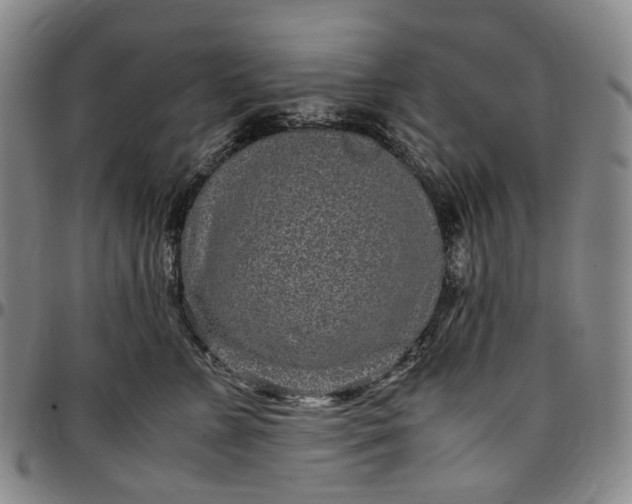 X0000096650715200802191243