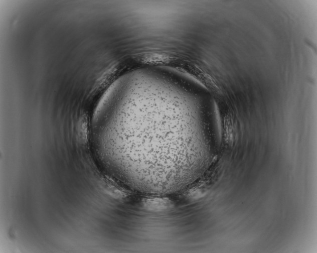 X0000096650716200802191243