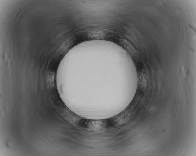 X0000096650717200802191243