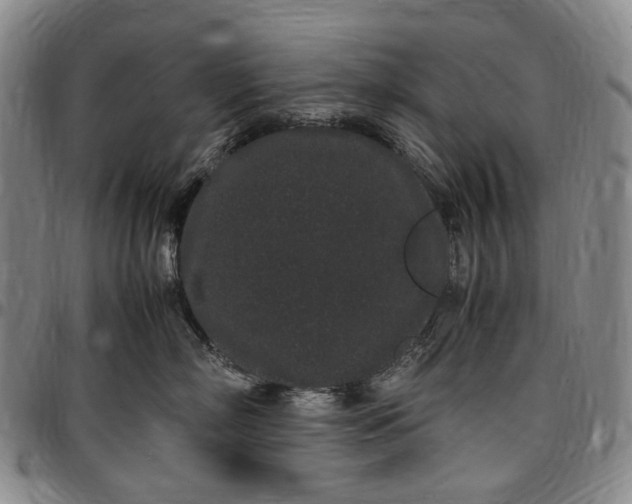 X0000096650718200802191243