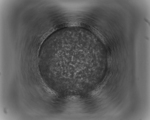 X0000096650721200802191242