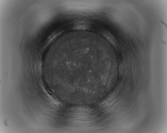 X0000096650722200802191242
