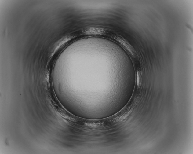 X0000096650723200802191242