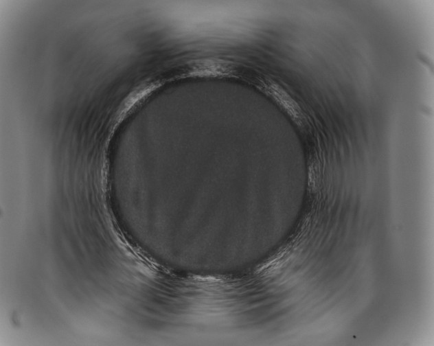 X0000096650724200802191242
