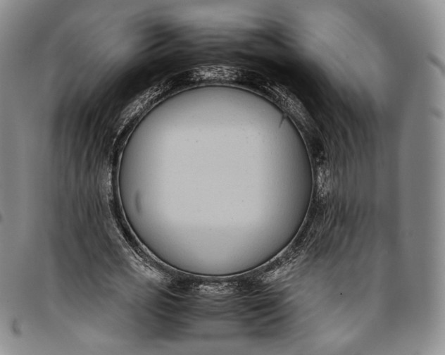 X0000096650725200802191242