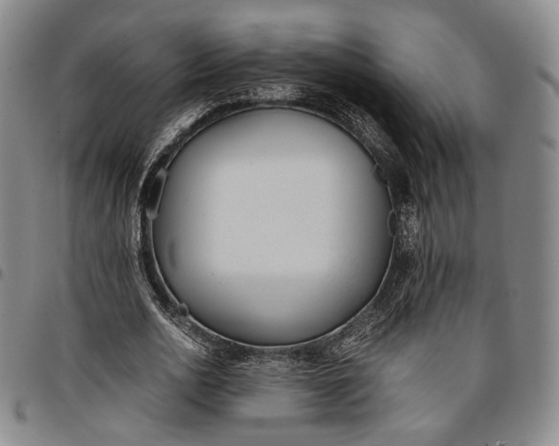 X0000096650726200802191242