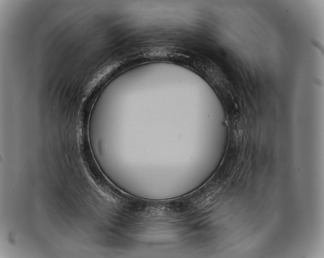 X0000096650728200802191242