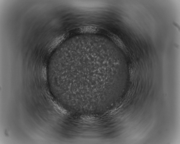 X0000096650729200802191242