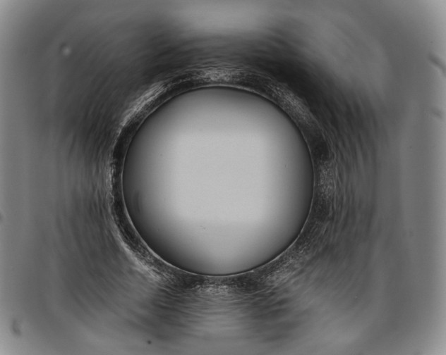 X0000096650730200802191242