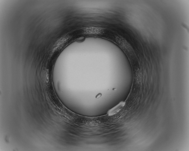 X0000096650731200802191242