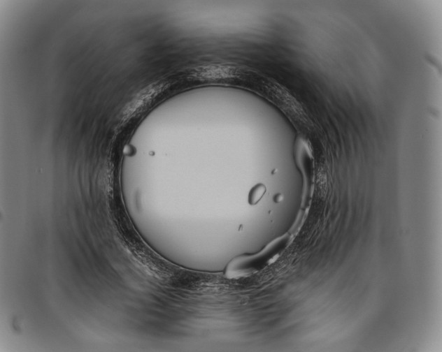 X0000096650732200802191242
