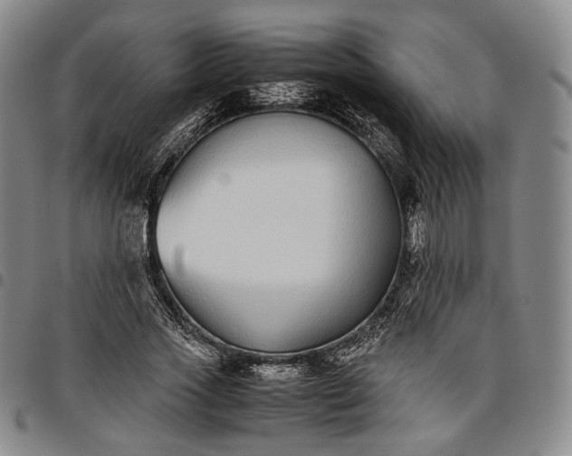 X0000096650733200802191242