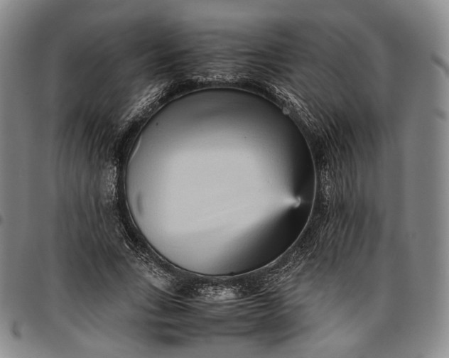 X0000096650735200802191242