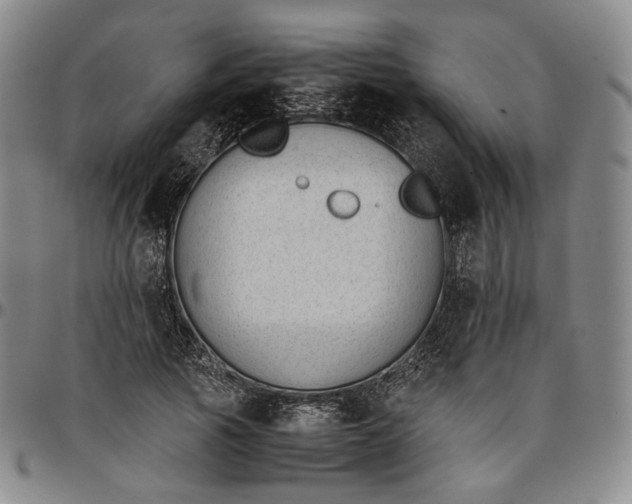 X0000096650737200802191242