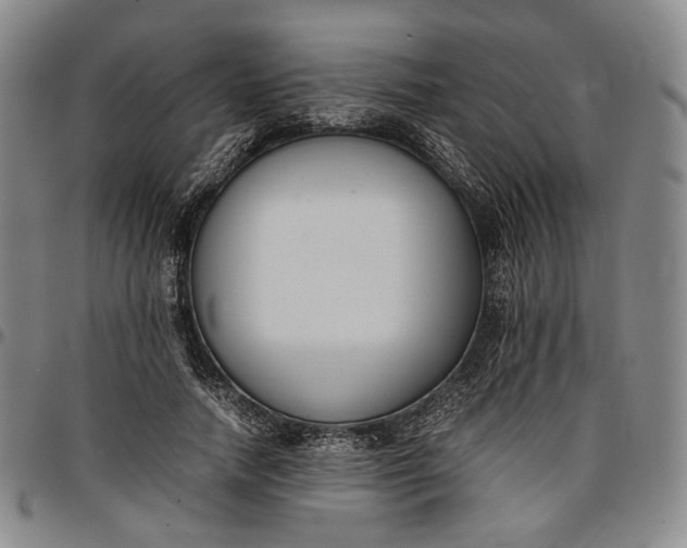 X0000096650738200802191242