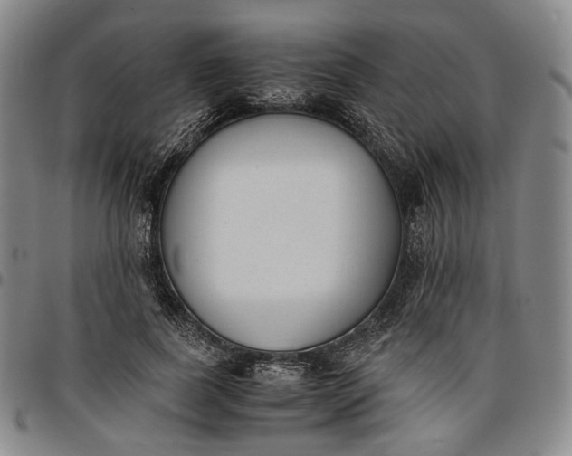 X0000096650739200802191242