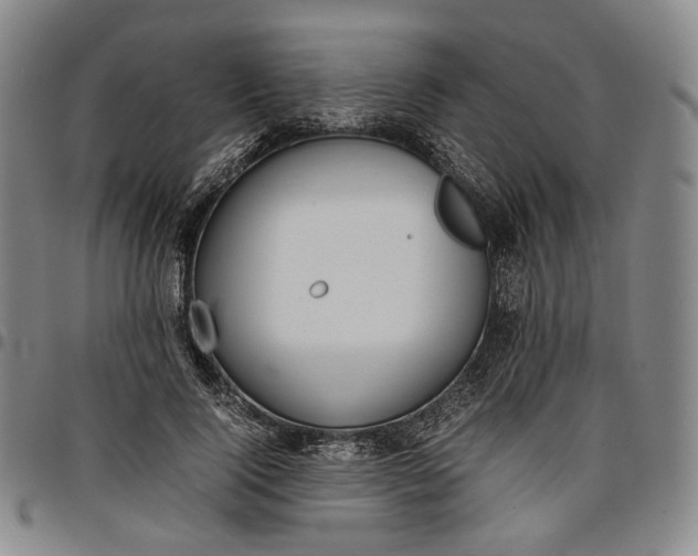 X0000096650740200802191242