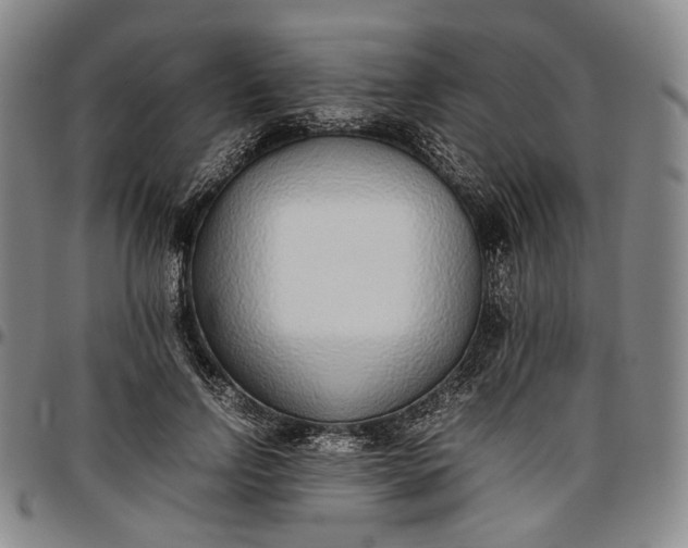 X0000096650742200802191242