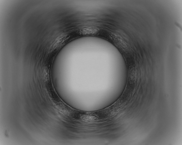 X0000096650743200802191242
