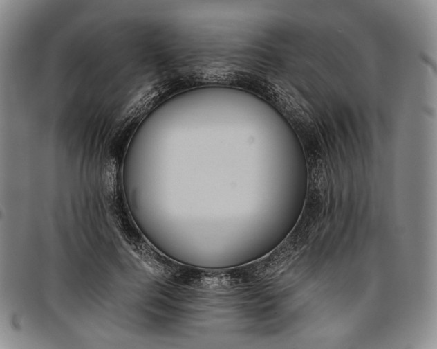 X0000096650744200802191242