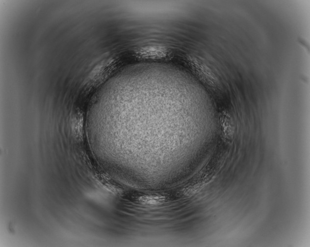 X0000096650745200802191242