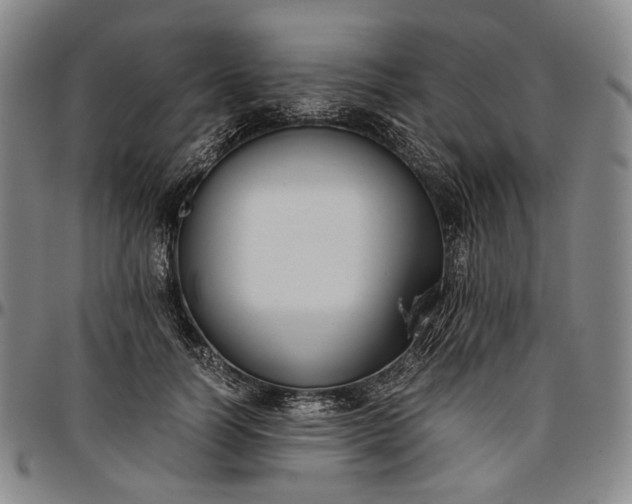 X0000096650746200802191242