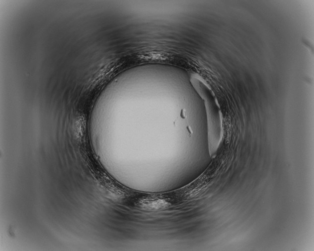 X0000096650747200802191242